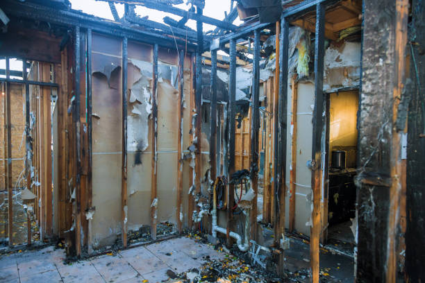 Professional Fire Damage Removal technician working in Hope, AR